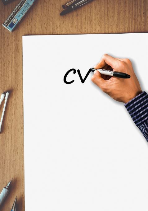 curriculum vitae
